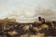 unknow artist Sheep 159 oil painting reproduction